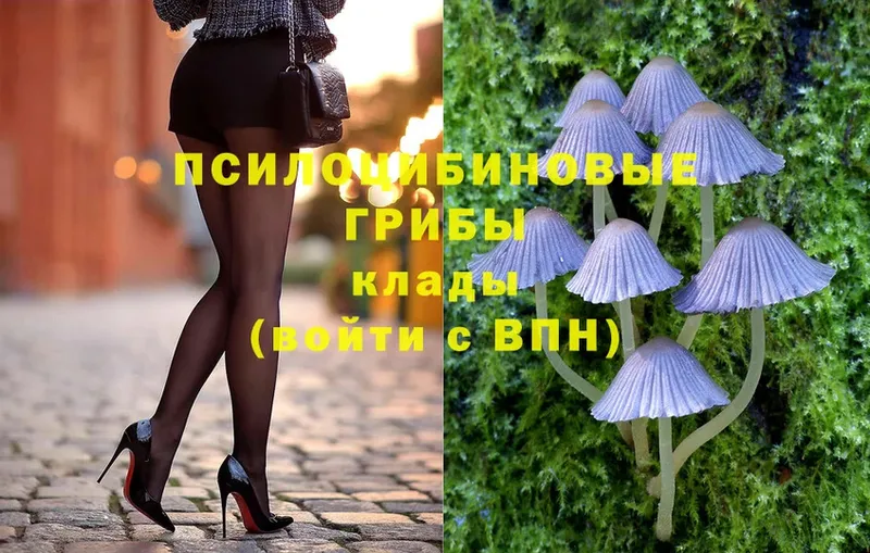 Галлюциногенные грибы Magic Shrooms  магазин    Ирбит 